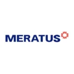 Logo PT Meratus Line & Group