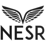 Lowongan Kerja di PT NPS Energy Indonesia (NESR Indonesia)